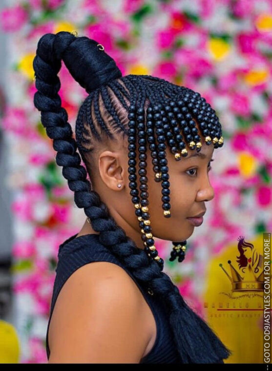 30+ Latest Black Braided Hairstyles For Classy and Elegant Looks (20)