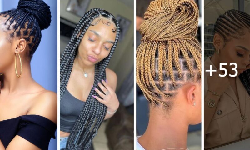 60 The Choice of Pleasant Women Braided Hairstyles