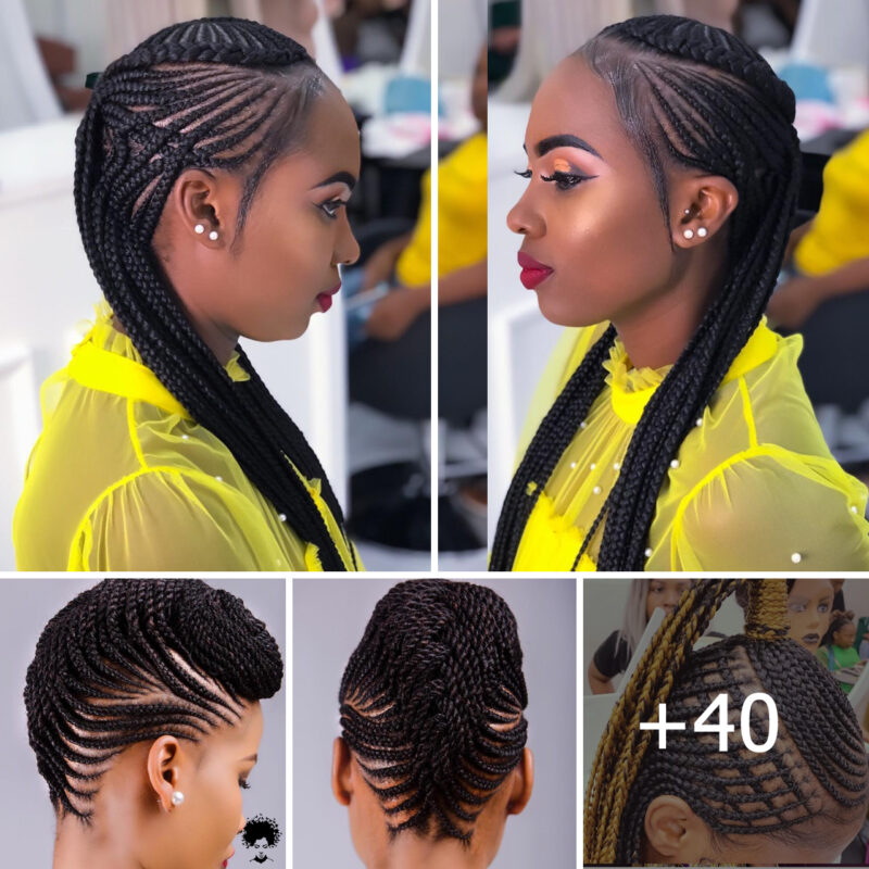 Chic Braided Hairstyles: Stunning Looks for Women