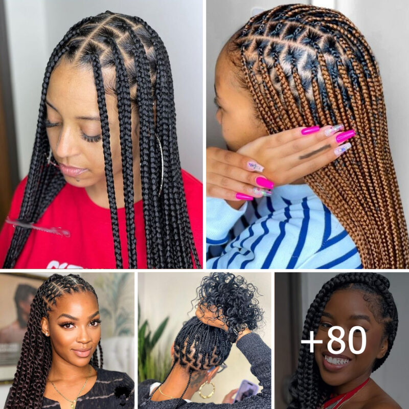 Elegant Braids: Exquisite Hairstyle Creations for Women