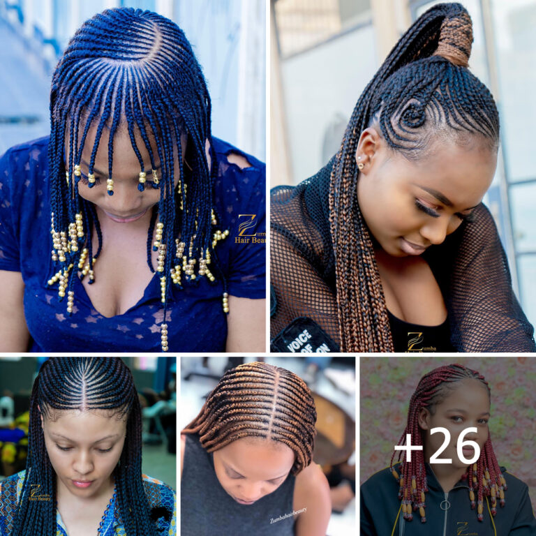 26 Braids Hairstyles Pictures For Classy Ladies