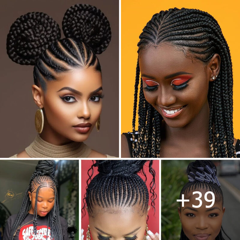 Braids Reimagined: The Top 39 Cornrow Styles Dominating 2024
