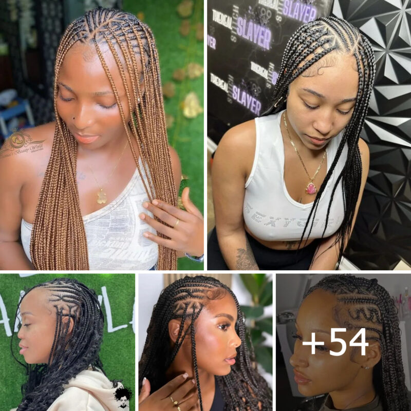 50 Flip Over Fulani Braids Hairstyles For 2024 [Video]