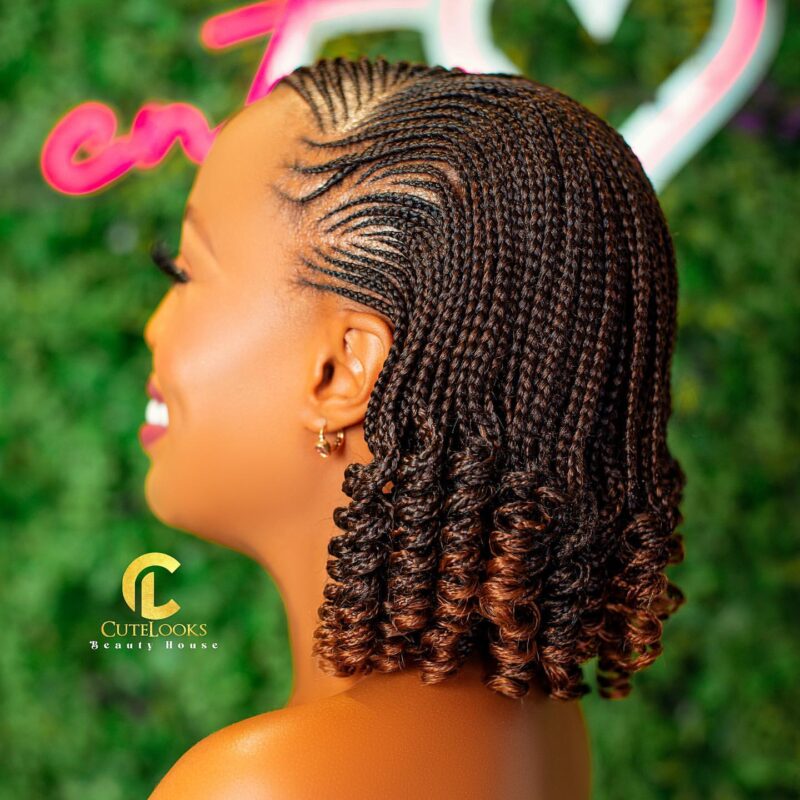 [GALLERY] – Braided Hairstyles 2024 Pictures