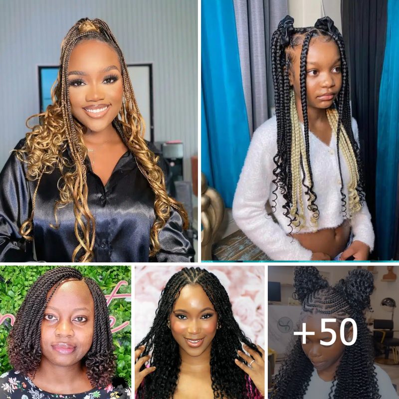 50+ Braids With Curls Hairstyles
