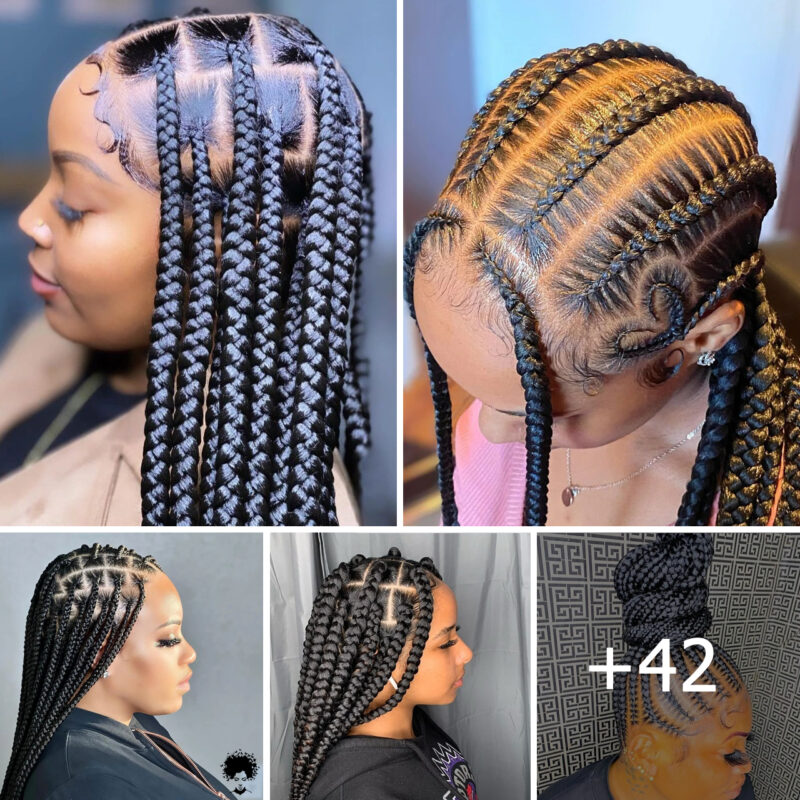Captivating Braids for Women: Unique Styles Surfacing in 2024