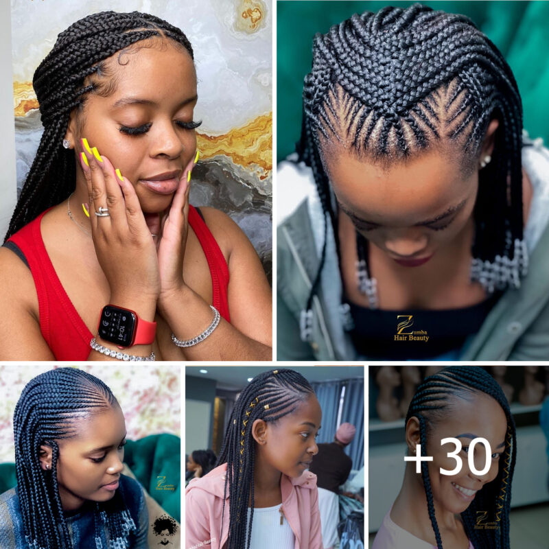 30+ Braided Hair Styles That Will Impress Everybody